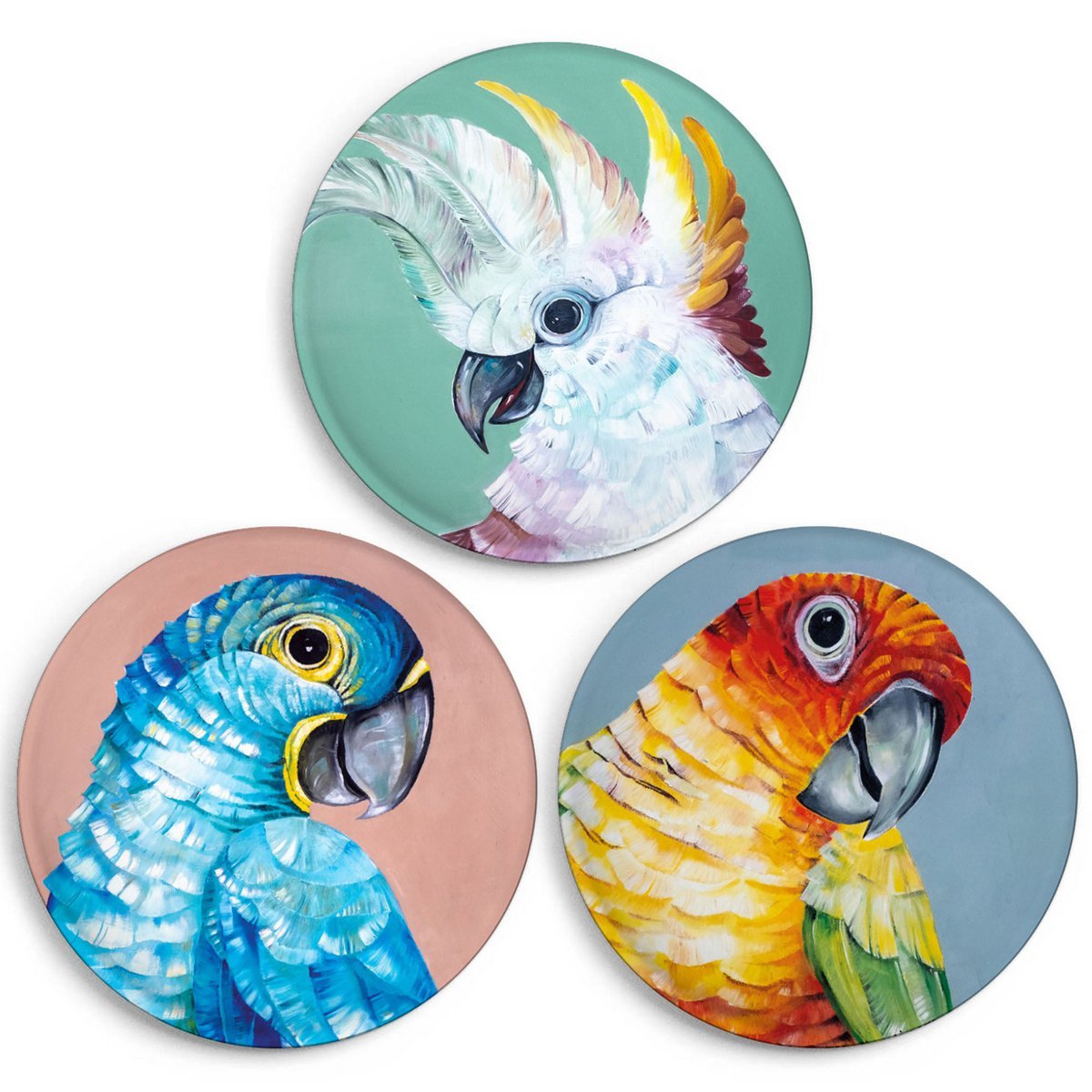Lot de 3 aimants – trio perroquet