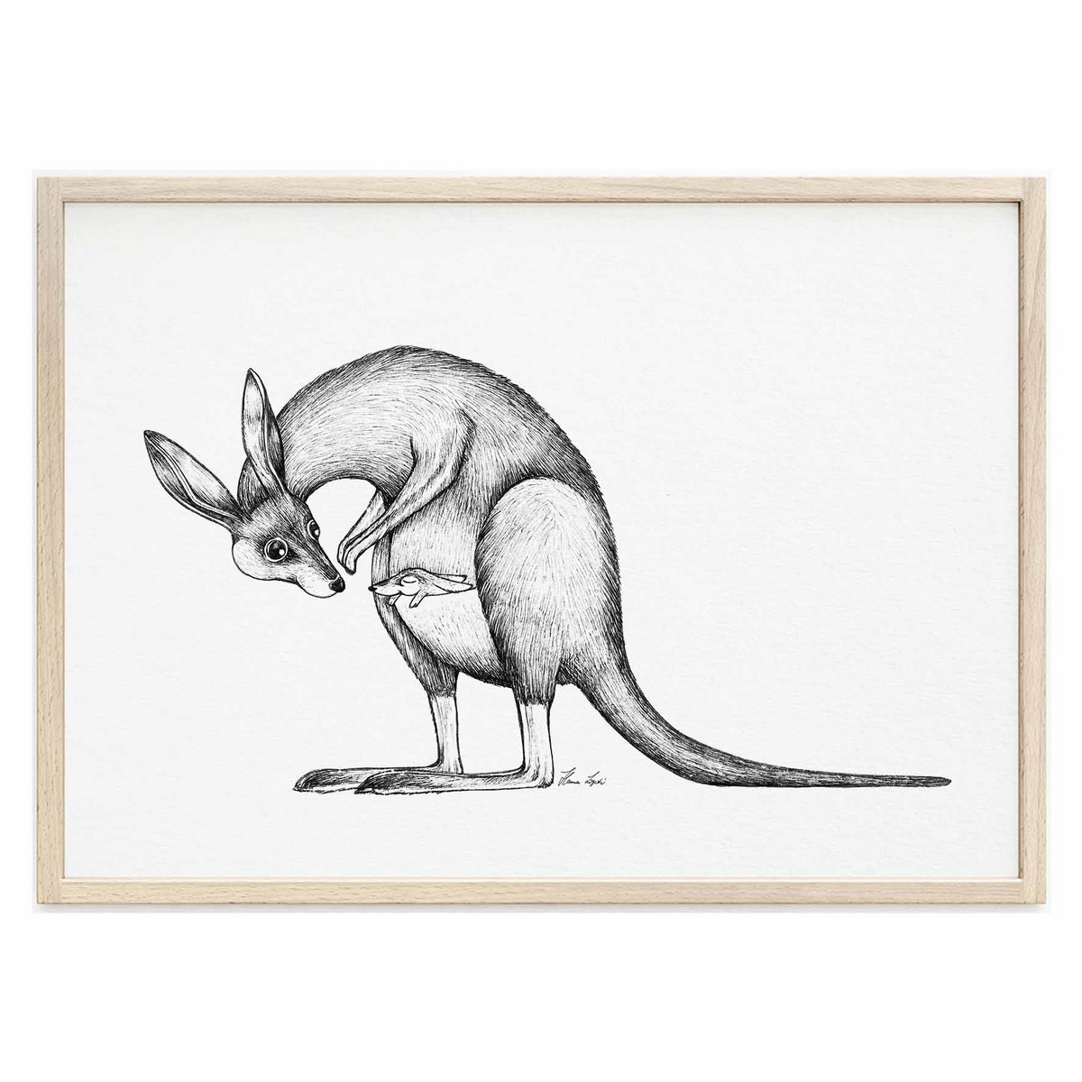 Art Print - Kangoeroes