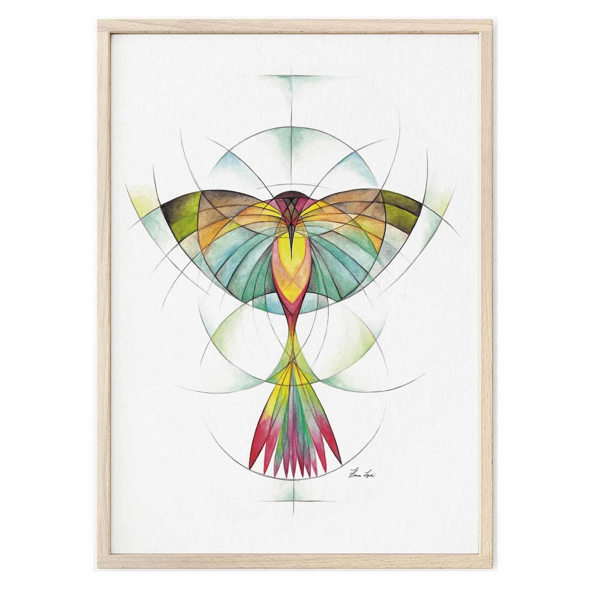 Tirage d'art - Géobird
