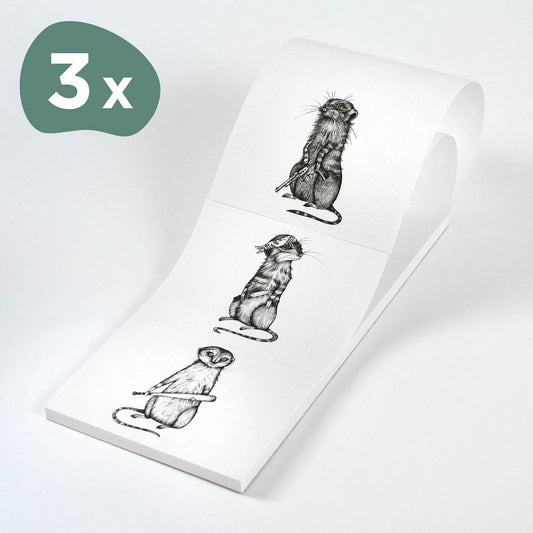 Bloc-notes – Erdmann Gang Trio – lot de 3