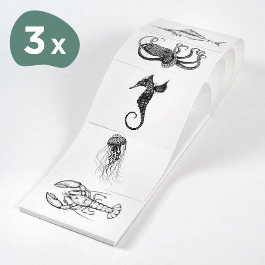 Bloc-notes – Quintette des Animaux Marins – Lot de 3