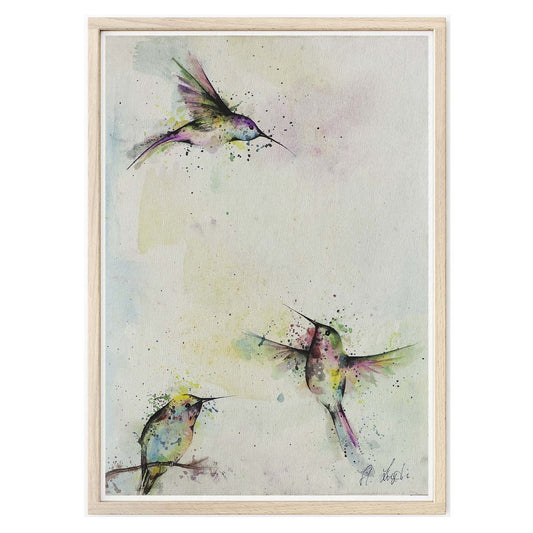 Kunstdruck - Drei Kolibris