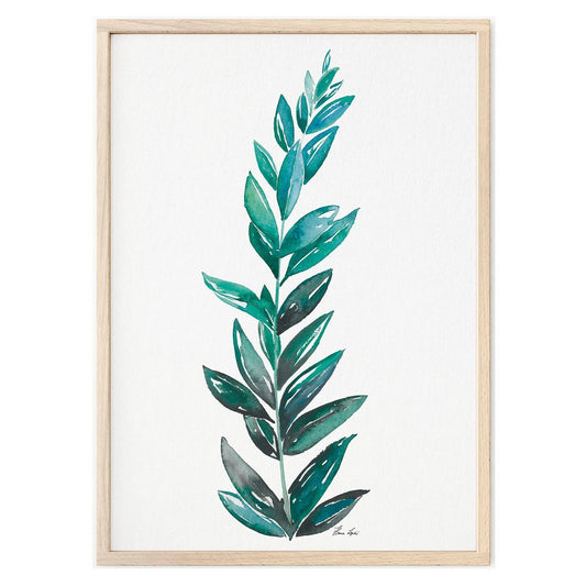 Impression d'art - Zamioculcas