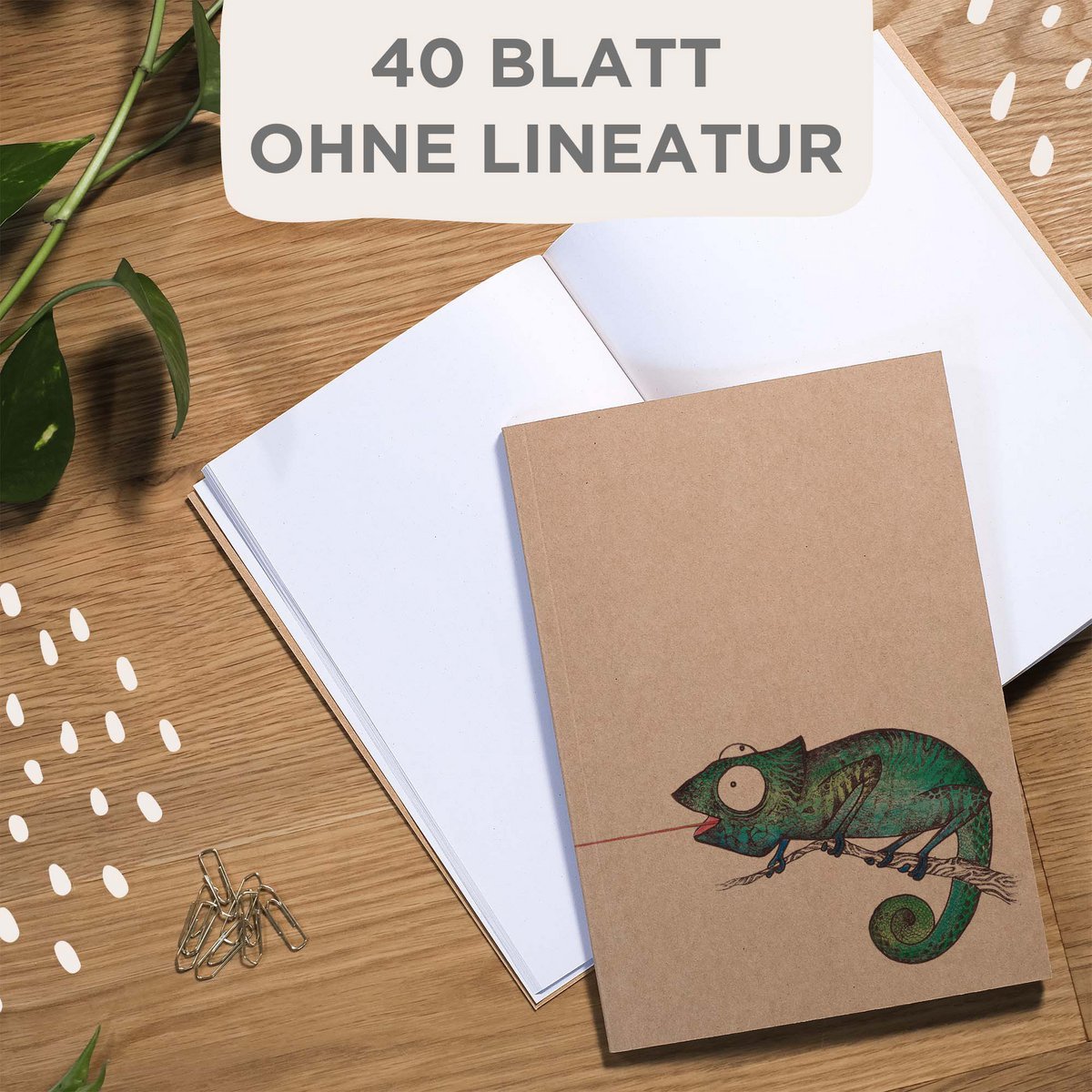 Carnet - Moucherolle