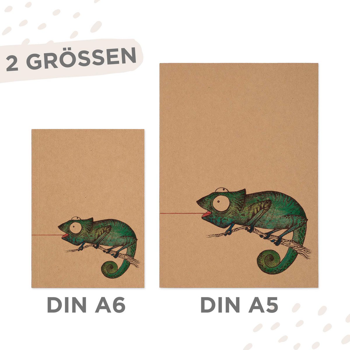 Carnet - Moucherolle