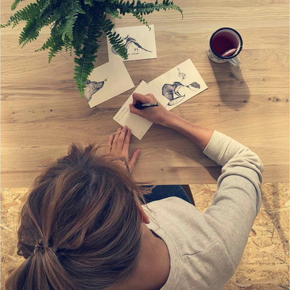 Postkarten – 5er-Set – Meerestiere