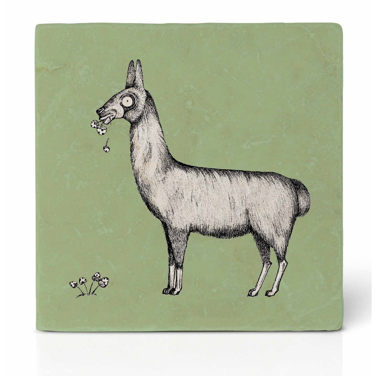 Tegelonderzetter - Lama