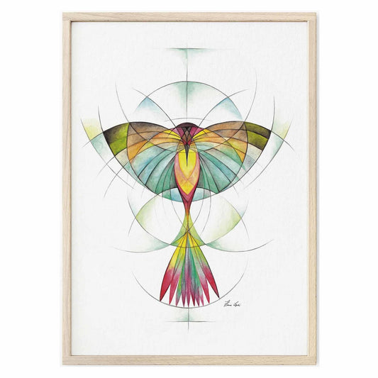 Tirage d'art - Géobird