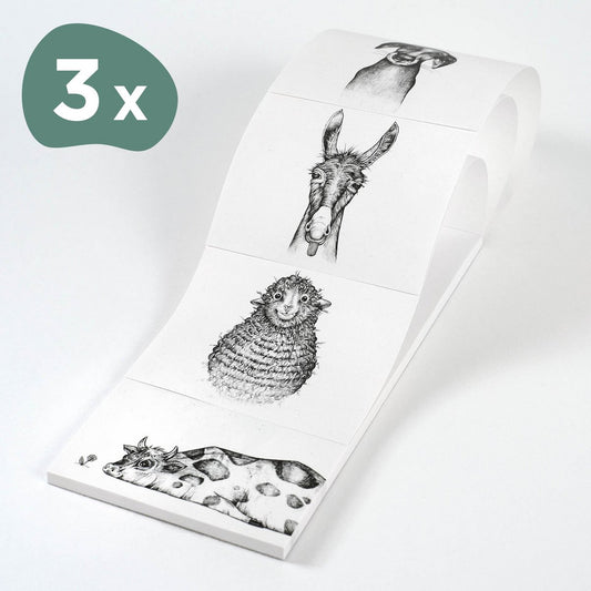 Bloc-notes – Farm Quartet – Lot de 3
